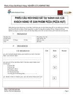 CÂU hỏi NGHIÊN cứu THỊ TRƯỜNG về pizza