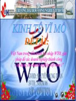 đề tài việt nam trong tiến trình hội nhập wto, giải pháp để các doanh nghiệp thành công ( áp dụng cho doanh nghiệp việt nam
