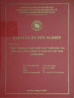 Thực trạng và giải pháp phát triển đội tàu biển của công ty hàng hải Việt Nam ( Vinalines)