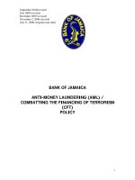 ANTI-MONEY LAUNDERING (AML) / COMBATTING THE FINANCING OF TERRORISM (CFT) POLICY ppt