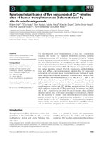 Báo cáo khoa học: Functional signiﬁcance of ﬁve noncanonical Ca2+-binding sites of human transglutaminase 2 characterized by site-directed mutagenesis potx