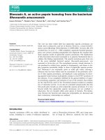 Báo cáo khoa học: Shewasin A, an active pepsin homolog from the bacterium Shewanella amazonensis pptx