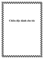 Chiêu độc dành cho tóc ppt