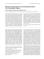 Báo cáo khoa học: Molecular characterization of H2O2-forming NADH oxidases from Archaeoglobus fulgidus potx