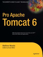 pro apache tomcat 6, 2007