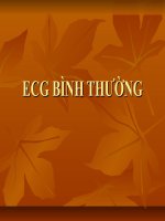 ECG bình thường doc