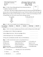 BÀI THI HỌC SINH GIỎI – LỚP 5 Môn Tiếng Việt doc