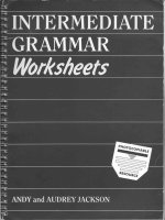 intermediate grammar worksheets