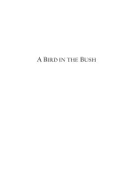 A BIRD IN THE BUSH: Failed Policies of the George W. Bush Administration doc