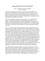 DISTILLERS GRAINS IN POULTRY DIETS pptx