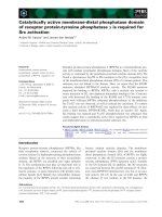 Báo cáo khoa học: Catalytically active membrane-distal phosphatase domain of receptor protein-tyrosine phosphatase a is required for Src activation doc