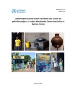 Combined household water treatment and indoor air  pollution projects in urban Mambanda, Cameroon and rural  Nyanza, Kenya  ppt