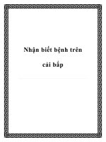 Nhận biết bệnh trên cải bắp ppt