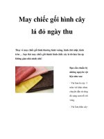 May chiếc gối hình cây lá đỏ ngày thu pdf