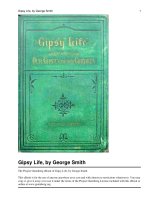Gipsy Life being an account of our Gipsies and their children docx