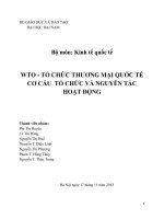 WTO - TỔ CHỨC THƯƠNG MẠI QUỐC TẾ CƠ CẤU  TỔ CHỨC VÀ NGUYÊN TẮC HOẠT ĐỘNG