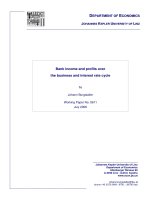 Bank income and profits over the business and interest rate cycle pdf