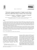 Electronic transport properties of single crystal silicon nanowires fabricated using an atomic force microscope