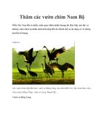 Thăm các vườn chim Nam Bộ potx