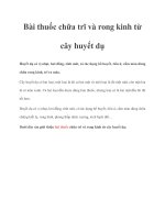 Bài thuốc chữa trĩ và rong kinh từ cây huyết dụ pdf