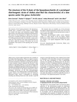 Báo cáo Y học: The structure of the O-chain of the lipopolysaccharide of a prototypal diarrheagenic strain of Hafnia alvei that has characteristics of a new species under the genus Escherichia pot
