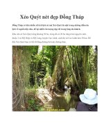 Xẻo Quýt nét đẹp Đồng Tháp pptx