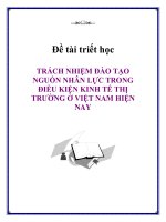 đề tài triết học trách nhiệm đào tạo nguồn nhân lực trong điều kiện kinh tế thị trường ở việt nam hiện nay