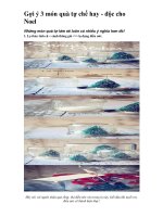 Gợi ý 3 món quà tự chế hay - độc cho Noel ppt