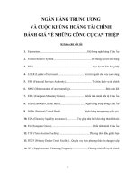 NGÂN HÀNG TRUNG ƯƠNG  VÀ CUỘC KHỦNG HOẢNG TÀI CHÍNH. ĐÁNH GIÁ VỀ NHỮNG CÔNG CỤ CAN THIỆP