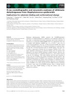 Báo cáo khoa học: X-ray crystallographic and enzymatic analyses of shikimate dehydrogenase from Staphylococcus epidermidis pot