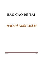 báo cáo đề tài bao bì nước mắm