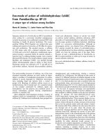 Báo cáo khoa học: Exo-mode of action of cellobiohydrolase Cel48C from Paenibacillus sp. BP-23 A unique type of cellulase among Bacillales ppt