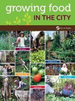 Growing food in the city pot