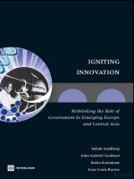 igniting innovation rethinking the role of government in emerging europe ppt