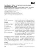 Báo cáo khoa học: Contributions of host and symbiont pigments to the coloration of reef corals pptx