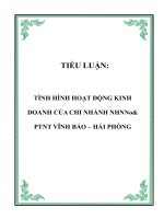 tình hình hoạt động kinh doanh của chi nhánh nhnno& ptnt vĩnh bảo – hải phòng
