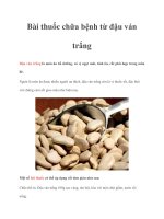 Bài thuốc chữa bệnh từ đậu ván trắng docx