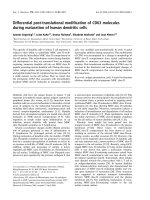 Báo cáo khoa học: Differential post-translational modiﬁcation of CD63 molecules during maturation of human dendritic cells potx