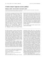 Báo cáo khoa học: A kinetic study of sugarcane sucrose synthase pdf