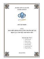 THAY ĐỔI CHÍNH SÁCH LƯƠNG THƯỞNG ĐỂ TẠO ĐỘNG LỰC LÀM VIỆC CHO NHÂN VIÊN