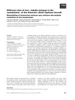 Báo cáo khoa học: Different roles of two c-tubulin isotypes in the cytoskeleton of the Antarctic ciliate Euplotes focardii Remodelling of interaction surfaces may enhance microtubule nucleation at low temperature doc
