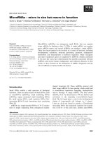 Báo cáo khoa học: MicroRNAs – micro in size but macro in function Sunit K. Singh1,2, Manika Pal Bhadra3, Hermann J. Girschick2 and Utpal Bhadra4 pptx
