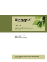 Sales 2.0 Exploring Paradigm Shifts in Web Technologies, Sales Performance, and Learning potx