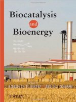 BIocatalysis and bioenergy