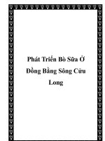 Phát Triển Bò Sữa Ở Đồng Bằng Sông Cửu Long pptx