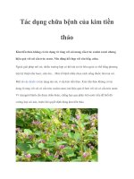 Tác dụng chữa bệnh của kim tiền thảo potx