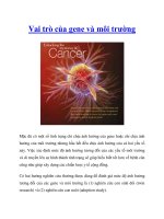 Vai trò của gene và môi trường doc