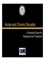 Acute and Chronic Sinusitis - A Practical Guide for Diagnosis and Treatment docx