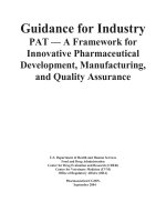 Guidance for Industry PAT — A Framework for Innovative Pharmaceutical Development, Manufacturing, and Quality Assurance pdf