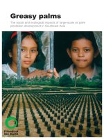 Greasy palms - The social and ecological impacts of large-scale oil palm plantation development in Southeast Asia docx